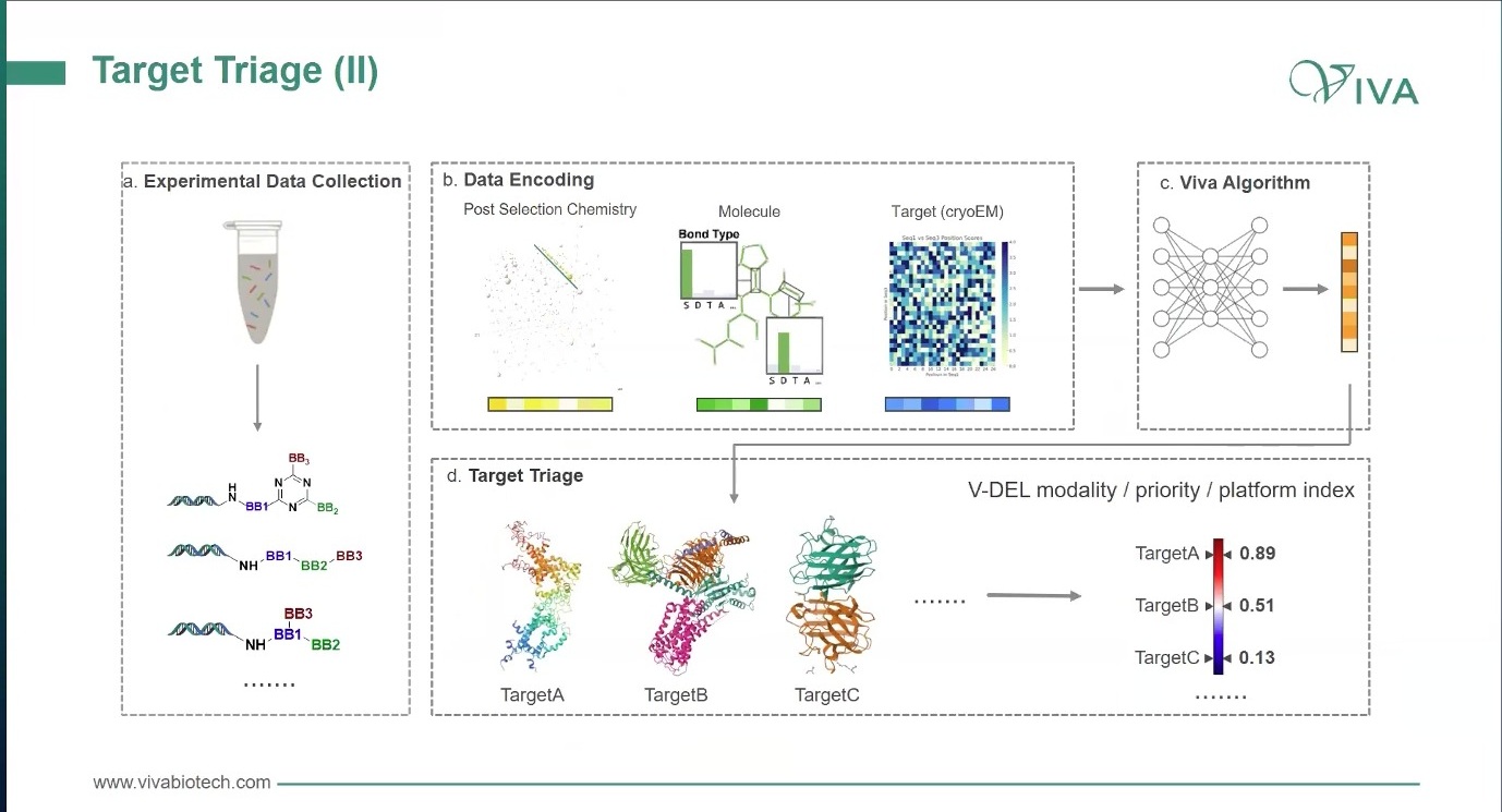 Target triage algorithm and V-DEL modality priority index